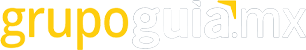 Grupo Guía